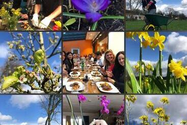 Hotel Villa Blauwhemel Diever