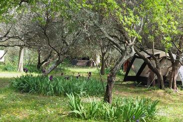 ユースホステル Auberge De Jeunesse Hi Nîmes