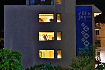 The Blue Jay Hostel