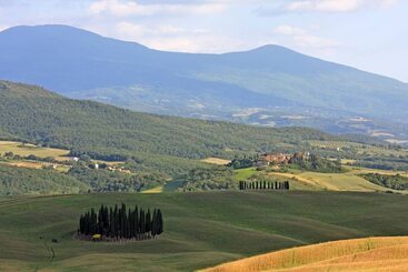 Cordella In Montalcino Wine Resort - Montalcino