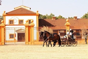 Dom Dinis Marvão - Marvao
