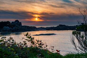 Cerise Lannion