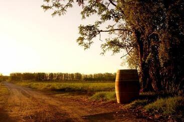 בית מלון כפרי Algodon Wine Estates & Champions Club