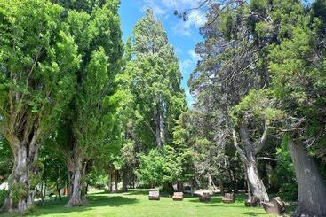 בית מלון כפרי Rochester Bariloche Suites & Spa