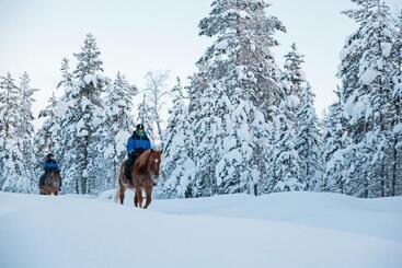 Kakslauttanen Arctic Resort   Igloos And Chalets
