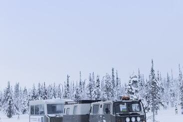 Kakslauttanen Arctic Resort   Igloos And Chalets