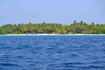هتل Hanifaru Stay