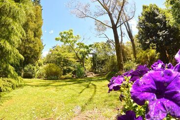 هتل Te Popo Gardens And Accommodation
