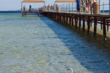 هتل Amwaj Oyoun Resort & Spa Sharm El Sheikh 