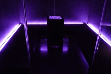 هتل Milano & Spas