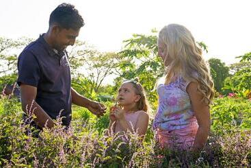 هتل Sheraton Fiji Golf & Beach Resort