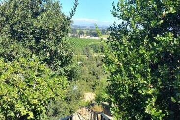 هتل Colchagua D Vino