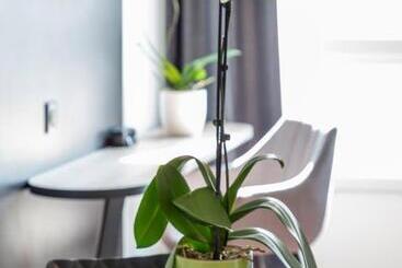 Nemea Appart Hotel Europe Velizy Villacoublay