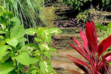 تختخواب و صبحانه Cocoa Cottage