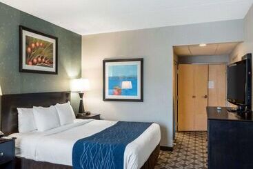 Отель Comfort Inn Rehoboth Beach