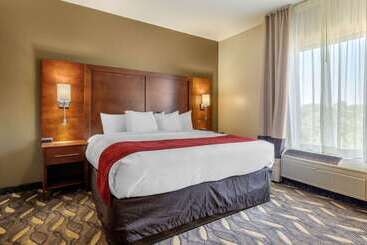 ホテル Comfort Suites