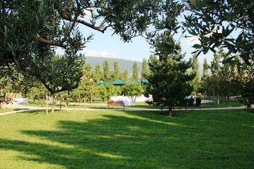 هتل Delfina Palace