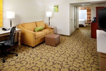 هتل Hilton Garden Inn Savannah Midtown