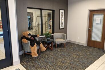 هتل Holiday Inn Express South Burlington, An Ihg