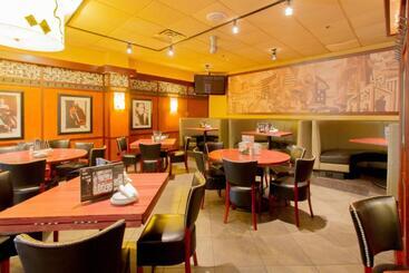 هتل Holiday Inn O Hare Area, An Ihg