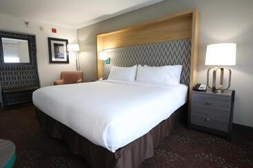 هتل Holiday Inn O Hare Area, An Ihg