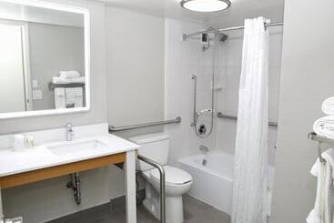هتل Holiday Inn O Hare Area, An Ihg