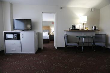 هتل Holiday Inn O Hare Area, An Ihg