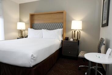 هتل Holiday Inn O Hare Area, An Ihg