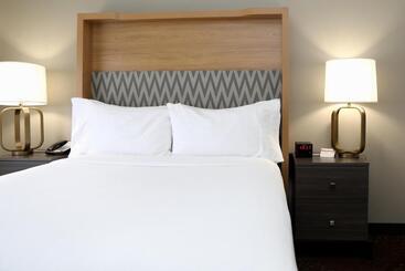 هتل Holiday Inn O Hare Area, An Ihg