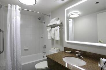 هتل Holiday Inn O Hare Area, An Ihg