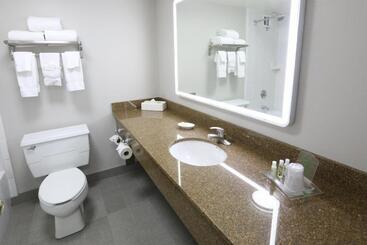 هتل Holiday Inn O Hare Area, An Ihg