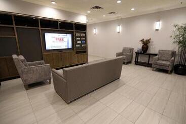 هتل Holiday Inn O Hare Area, An Ihg
