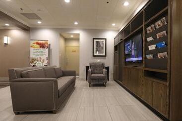 هتل Holiday Inn O Hare Area, An Ihg