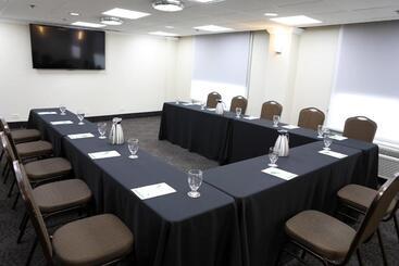هتل Holiday Inn O Hare Area, An Ihg