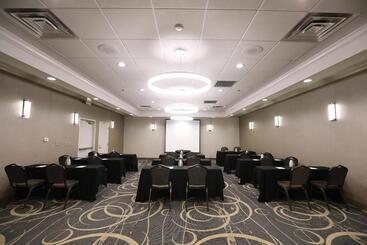 هتل Holiday Inn O Hare Area, An Ihg