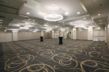 هتل Holiday Inn O Hare Area, An Ihg