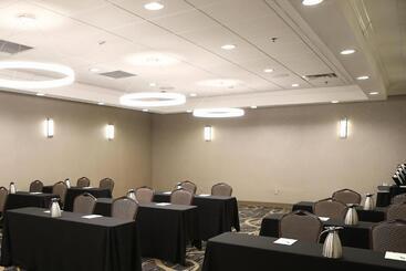 هتل Holiday Inn O Hare Area, An Ihg