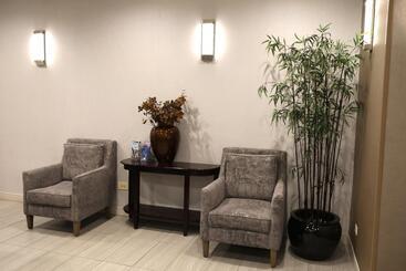 هتل Holiday Inn O Hare Area, An Ihg