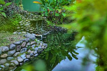 Mountain Paradise - Arenal