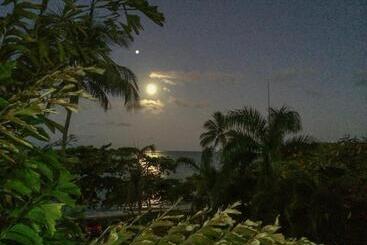 هتل Roydon Beachfront Apartments