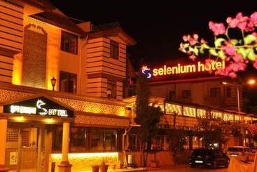 هتل Selenium