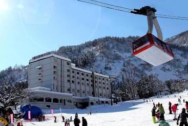 בית מלון כפרי Yuzawa Toei