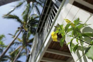 Exsel Alamanda - Saint Gilles