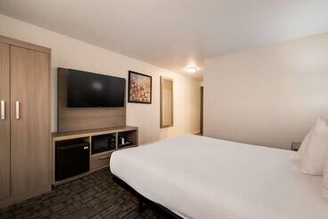 酒店 Comfort Inn