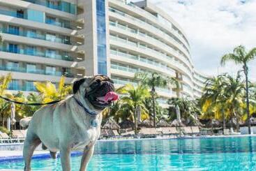 استراحتگاه Palacio Mundo Imperial Riviera Diamante Acapulco