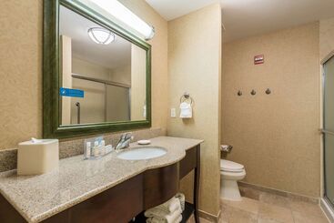 هتل Hampton Inn & Suites Orlando South Lake Buena Vista
