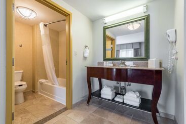 هتل Hampton Inn & Suites Orlando South Lake Buena Vista