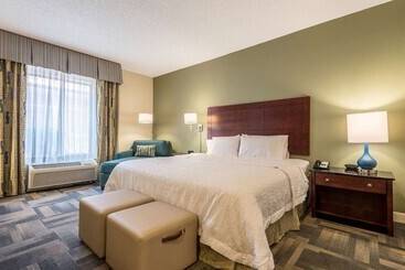 هتل Hampton Inn & Suites Orlando South Lake Buena Vista