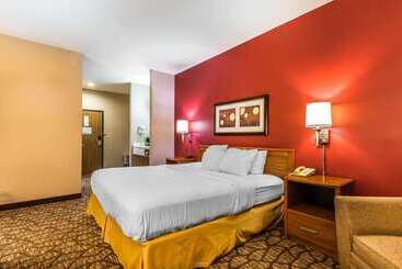 هتل Quality Inn & Suites Chesterfield Village