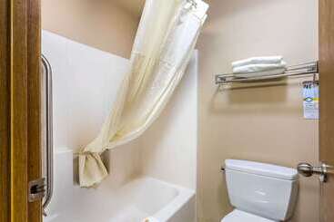 هتل Quality Inn & Suites Chesterfield Village